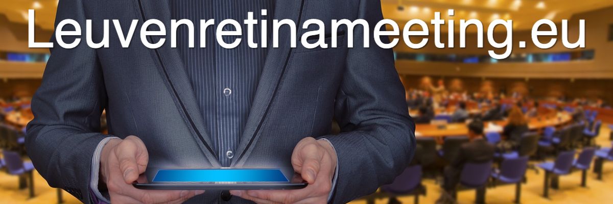 leuvenretinameeting.blogavontade.com